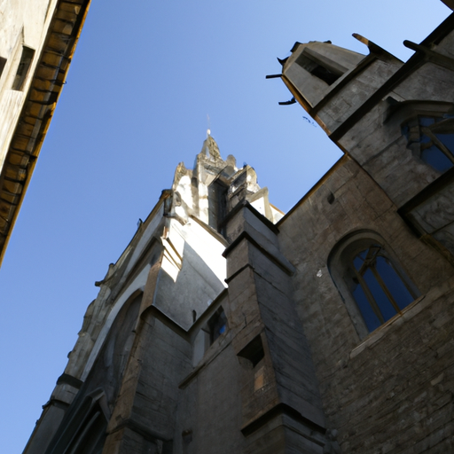 Vaciado de pisos en El Gòtic 