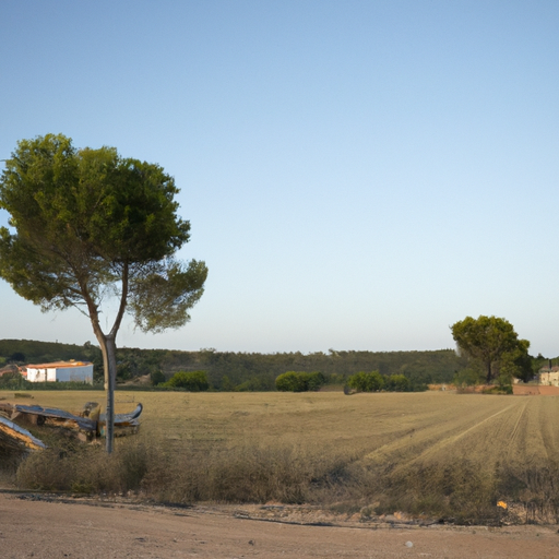 Vaciado de pisos en El Camp d’en Grassot i Gràcia Nova 